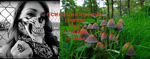 мдма Нязепетровск