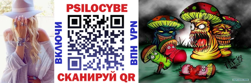 Галлюциногенные грибы MAGIC MUSHROOMS  Купить закладки  Пудож 