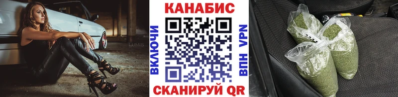 Бошки Шишки тримм  Купить закладки  Пудож 